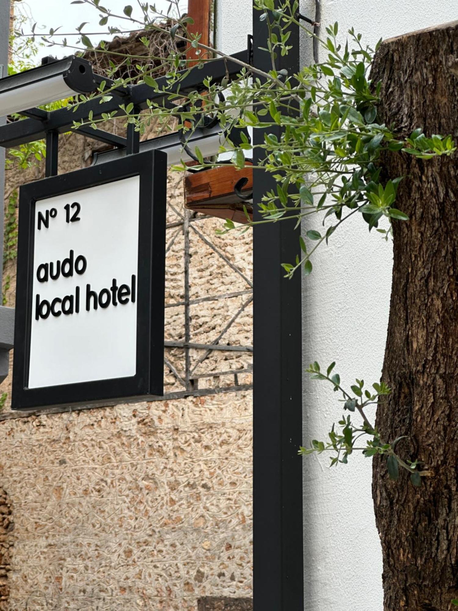 Hotel Audo Local à Antalya Extérieur photo